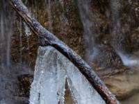 Eisfahne an überhängendem Ast an Bachkaskade